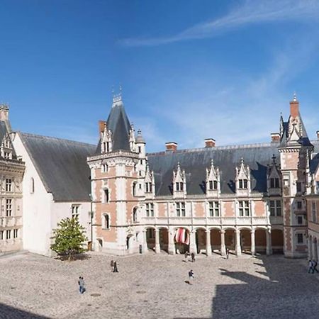 Gite Troglodyte Les Iris Villiers-sur-Loir Exterior foto
